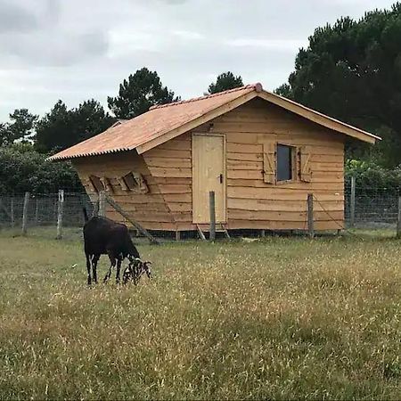 Gite - La Ferme A La Plage Le Porge Exterior foto
